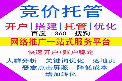 搜索引擎营销（SEM）公司某某的客户成功故事